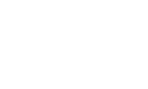 Strapi